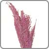 heather