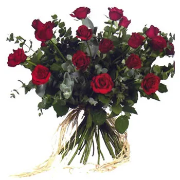 15 trandafiri rosii